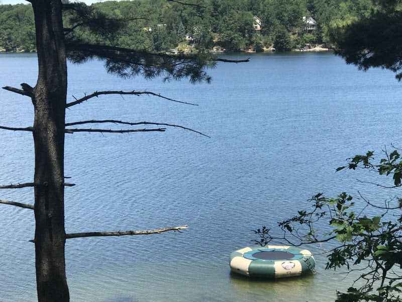 The Redlin Cottage view from deck spider lake Moonlight bay resort